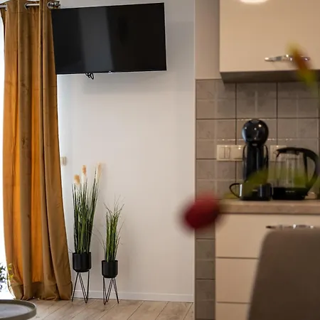 Apartment Kozina *