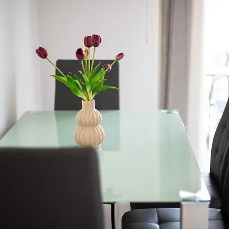 Apartment Kozina