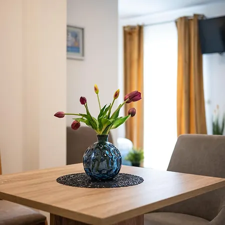 Kozina 3 Apartament